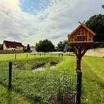 Bertchen - Barrierefrei Mit Suedterrasse Und Carport In Ruhiger Altstadtlage Von Apartamento Ballenstedt