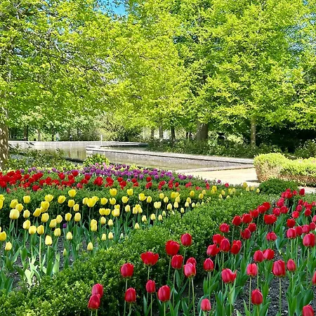 Bertchen - Barrierefrei Mit Suedterrasse Und Carport In Ruhiger Altstadtlage Von بالنشتيت