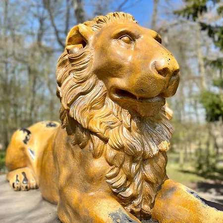 Apartman Bertchen - Barrierefrei Mit Suedterrasse Und Carport In Ruhiger Altstadtlage Von