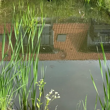 Appartement Bertchen - Barrierefrei Mit Suedterrasse Und Carport In Ruhiger Altstadtlage Von