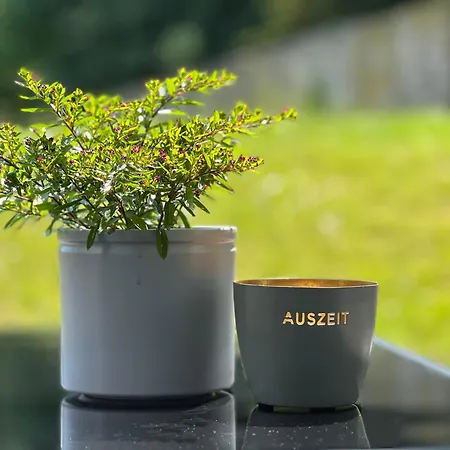 شقة Bertchen - Barrierefrei Mit Suedterrasse Und Carport In Ruhiger Altstadtlage Von *
