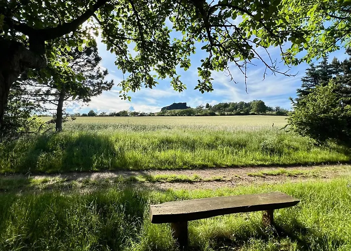 Appartement Bertchen - Barrierefrei Mit Suedterrasse Und Carport In Ruhiger Altstadtlage Von Ballenstedt