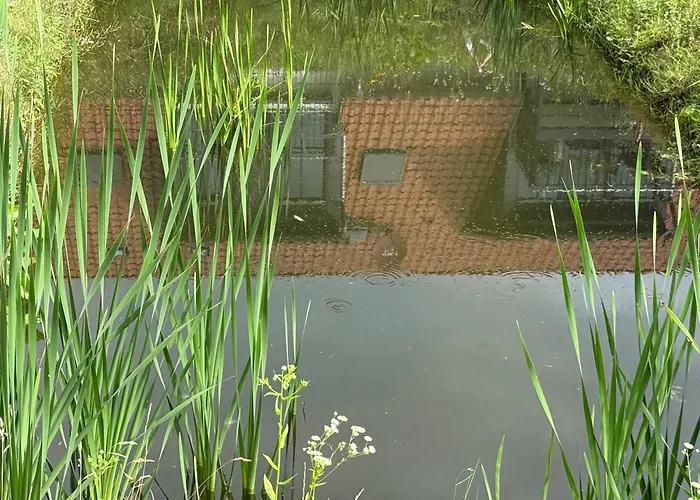 아파트 Bertchen - Barrierefrei Mit Suedterrasse Und Carport In Ruhiger Altstadtlage Von