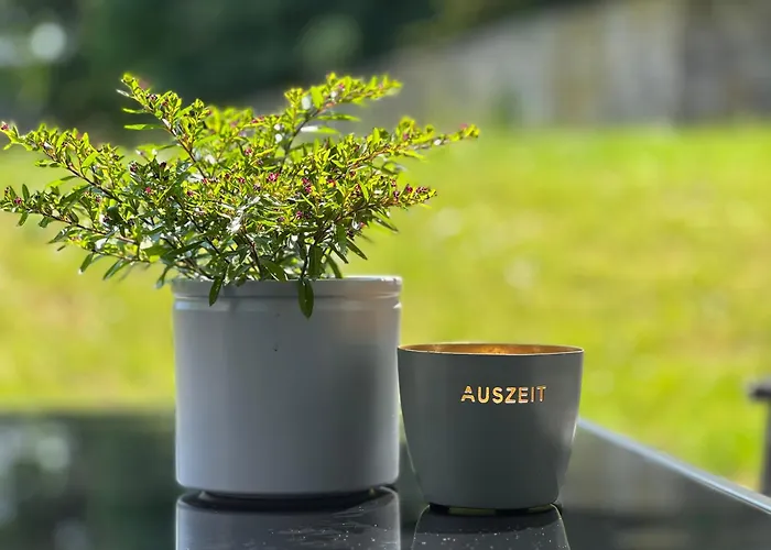 Appartement Bertchen - Barrierefrei Mit Suedterrasse Und Carport In Ruhiger Altstadtlage Von *